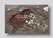 LANDMANNALAUGAR 24